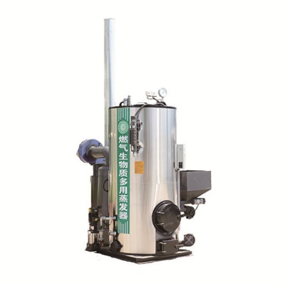 燃氣生物質(zhì)兩用蒸汽發(fā)生器